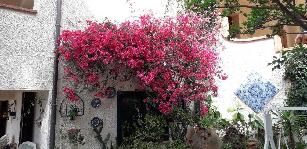 Holiday Home Cala Bianca Castellammare del Golfo Εξωτερικό φωτογραφία